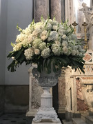 IMG-8887