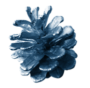 BC-ATaste-Of-Winter-El-78