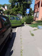 20220701-102637.jpg
