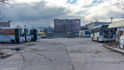 IMG-5551