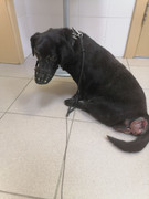 1BBBD2EC-ADF0-4BE1-97A9-FACA18346A1B