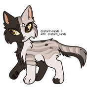 bicolor mackerel tabby