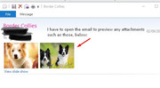 Border Collies attachment preview