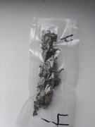 IMG_20230201_222255_367