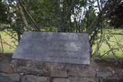 DSC-0378