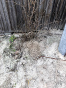 photo_2023-03-23_18-28-46