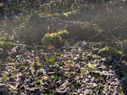 PXL 20260207 125922016