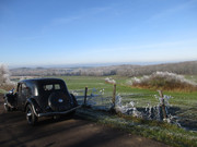 IMG-6567.jpg