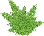 0-1c0e07-48ae6241-orig