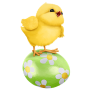 KBK-Spring-Surprise-84