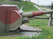 IMG-3649