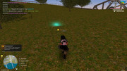 IMG-6300