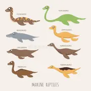 https://i.postimg.cc/p9mRS2Gq/set-marine-repitles-dinosaurs-eps-vector-format-55400215.webp