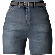 accs-004-0