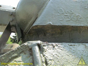 IMG-5641