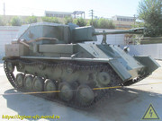 IMG-3203