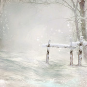 Christmas-Dreams-Papers-3