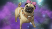 Ru pug Vivians dog