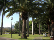 photo 8 2025 12 17 21 11 57