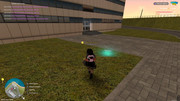 IMG-6304