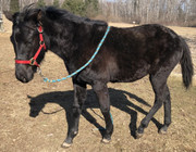 AC1D8C96-4F07-4DF1-879F-7F63E3A81803