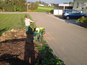 Kompostmiete Aus Drei mach Eins 2.Okt. 2015 (17)