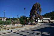 Klenia-(1)