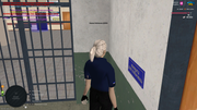 UKRAINE-GTA-06-09-2025-13-39-38-(1)
