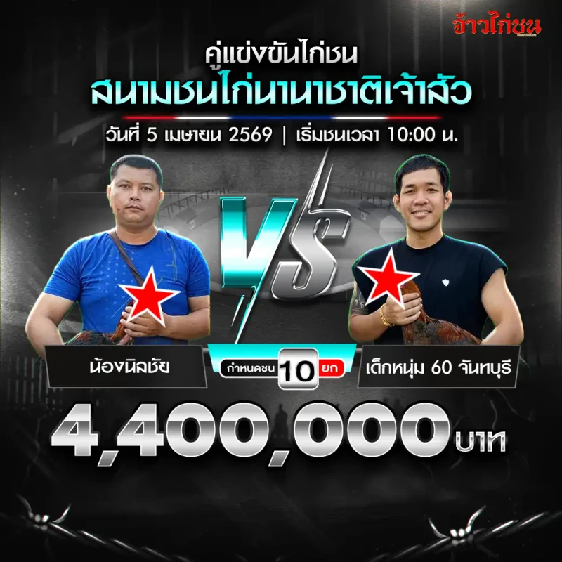 โปรแกรมไก่ชน คู่ น้องนิลชัย พบ เด็กหนุ่ม 60 จันทบุรี สนามชนไก่นานาชาติเจ้าสัว