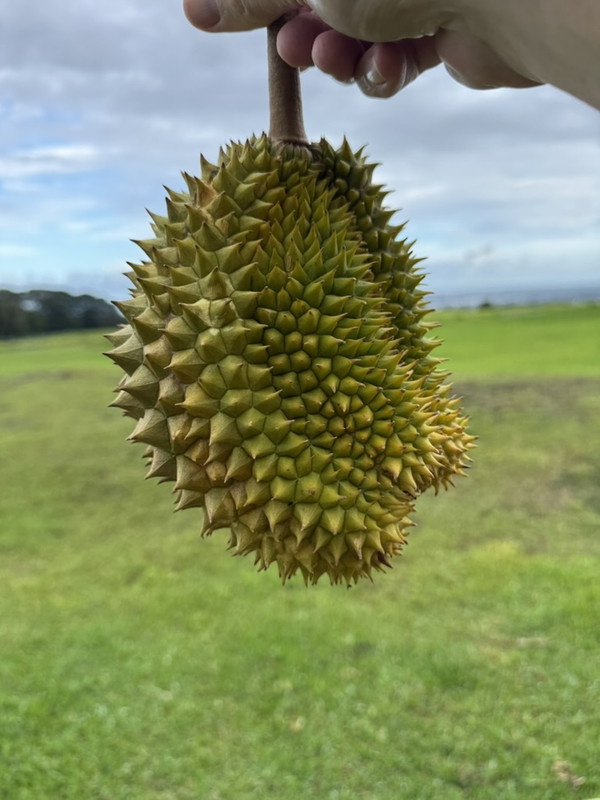 9760ED73 75A0 475D 926B A0DB81BA3763 1 105 c