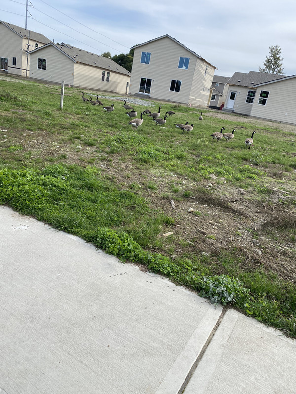 22A842C2-8110-40CB-9826-8F8A88B8E6C1