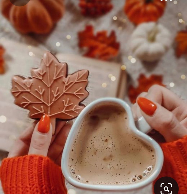 Screenshot_20230923_000449_Pinterest