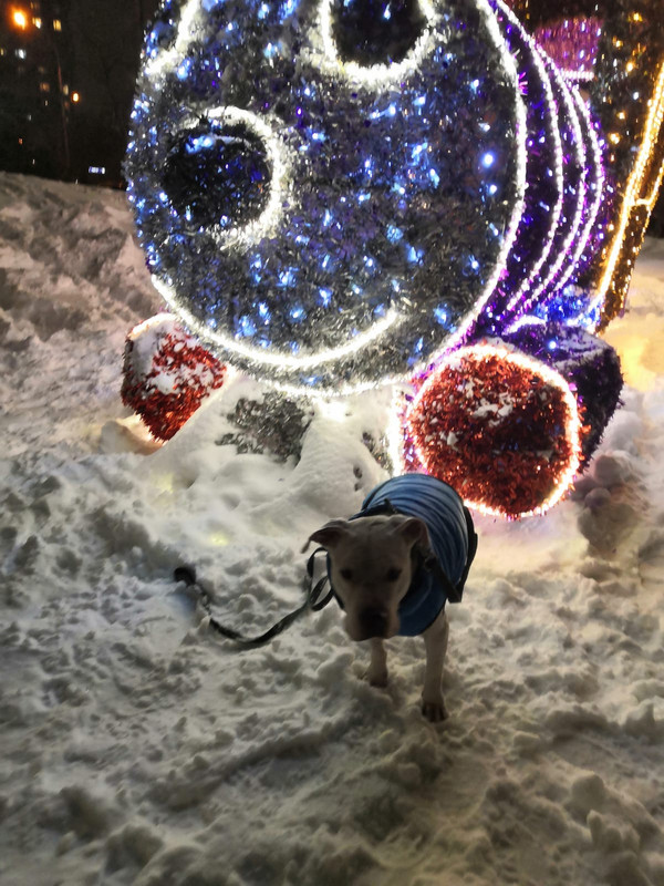 5CA305FE-4935-4792-9FF9-5956F8E5BB5D