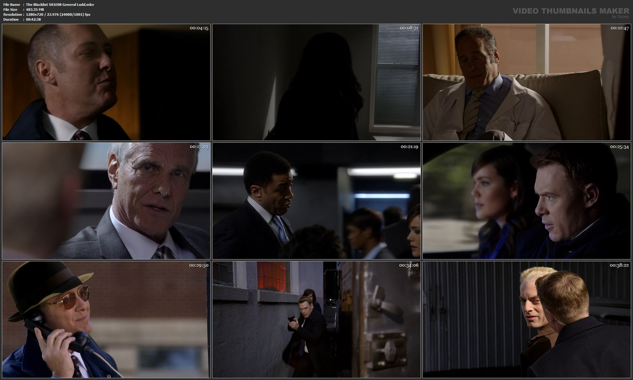 The Blacklist S01E08 General Ludd.mkv