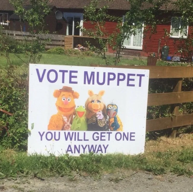 [Image: vote-muppet-The-Most-Hilarious-and-Origi...o-cmg.webp]