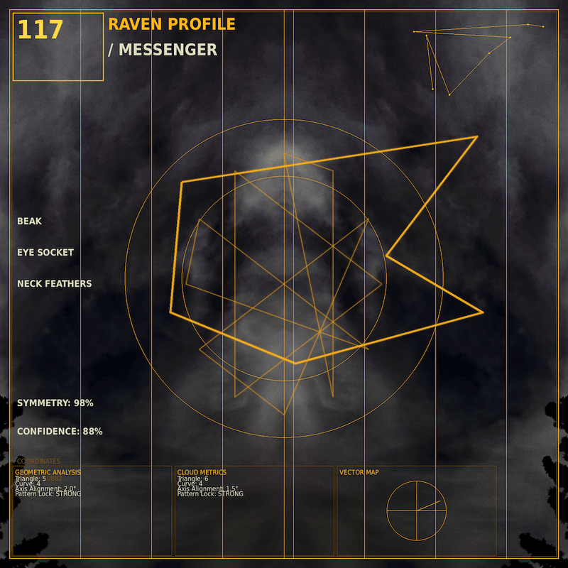 Raven profile