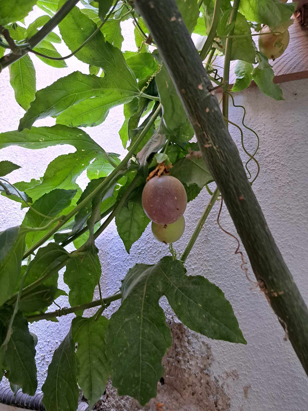 361170471_1939362139769207_8591143351981596241_n