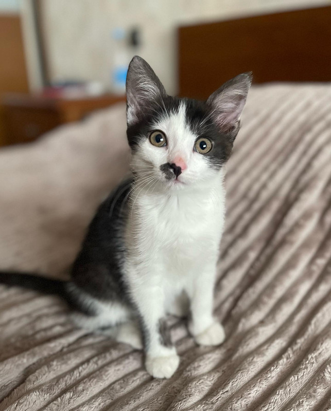 1E563A3A-5BD2-49C0-BFE9-F65F601BA037