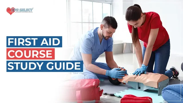63851523fac5fa9c0a511ece-first-aid-study-guide.webp