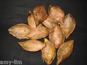 $T2eC16ZHJHQE9nzEy8tsBQf!)v7B6!~~60_35