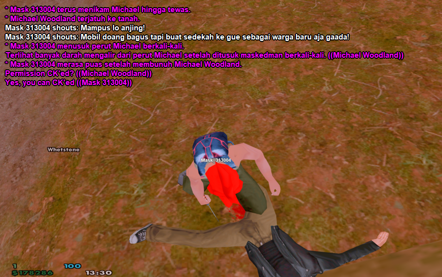 13.png