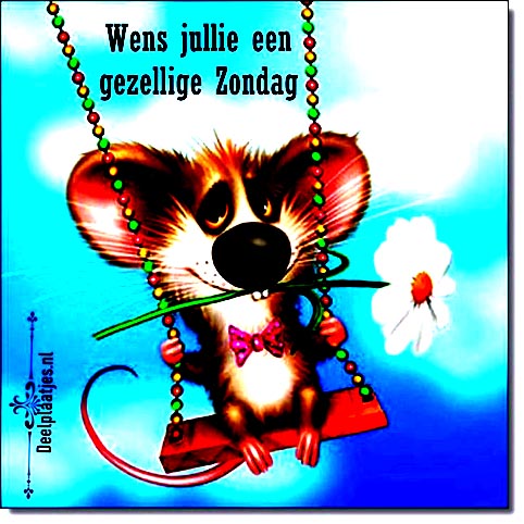 36b1936e52b65865ffe4372b902d5c39