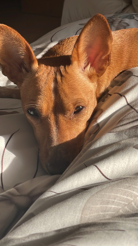 6279B48D-417B-4F31-8EF1-8F16B35E213A