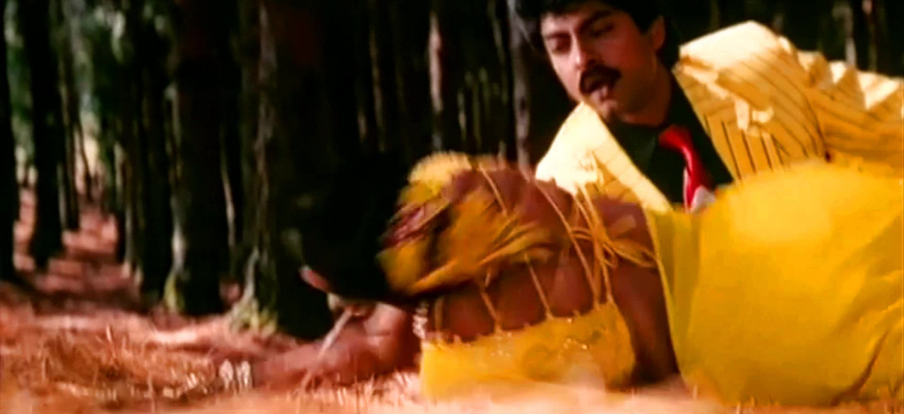 vlcsnap-2023-04-08-17h24m34s900