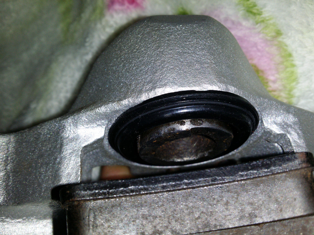 3 марта 2016 г._103094016