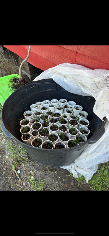 8463C58A-DEBE-4231-9E50-577D2350A242