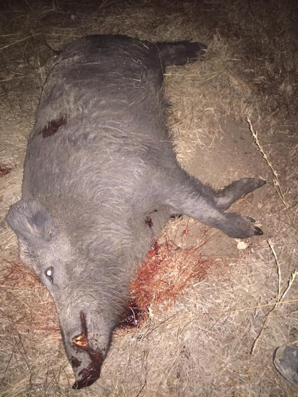 3F7E540C-C1E5-4BB3-A082-1DD95922395A