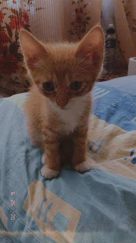 DFA17ACC-17A8-4D33-A9DC-4B01AA092700