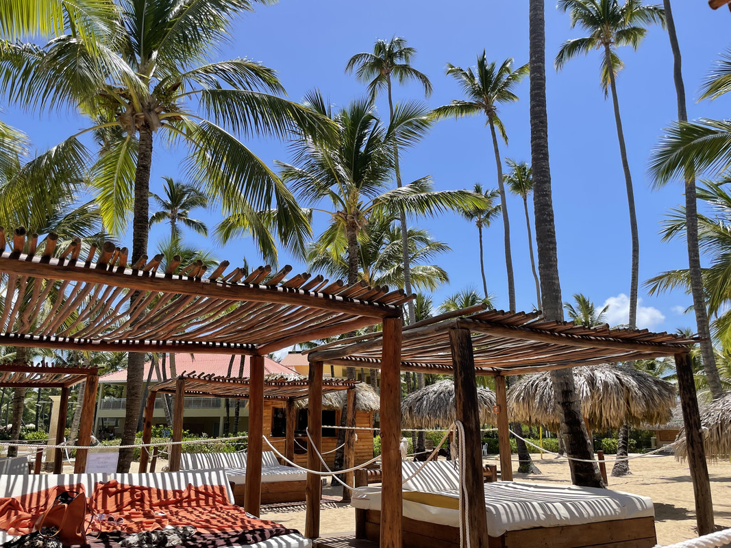 Skype_Picture_2022_08_15T23_28_31_862Z