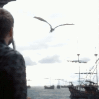 sff-war-av4.gif